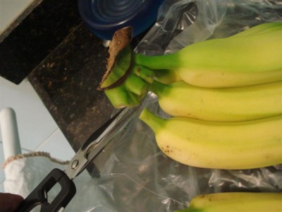 Conservar bananas